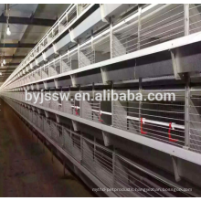 Top Selling Chicken Breeding Equipment For Sale
